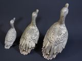 three birds that are standing next to each other