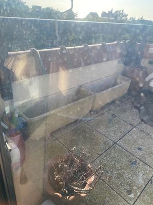 un canapé et une plante en pot sur le balcon