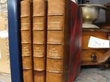 beaucoup de livres sur les étagères du magasin