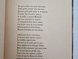 Photo 6/7 du lot