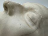 a white sculpture of a bear head on a table