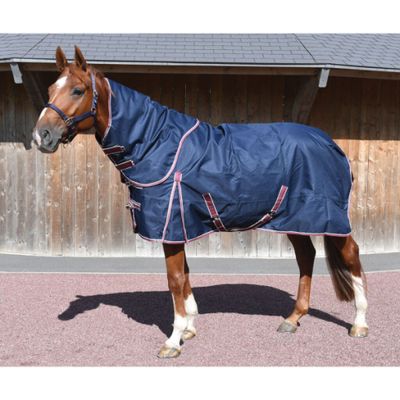 un cheval debout dans la terre, recouvert d'une couverture