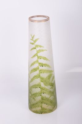 un vase en verre contenant une plante