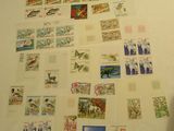 a person standing in front of a wall covered with stamps