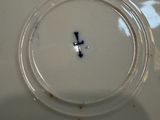 a white plate with a cross on it sitting on a table