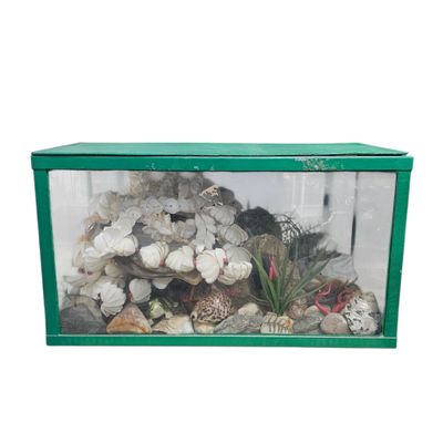 a green box with shells and plants inside of it
