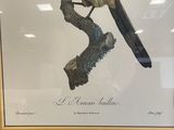 an image of a bird sitting on top of a branch in a frame