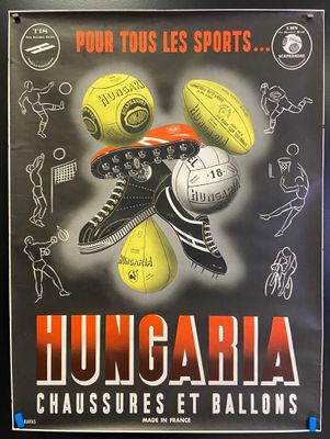 a poster of a bunch of different sports balls