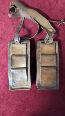 Brelage en cuir avec sacoches cuir - Très bon état