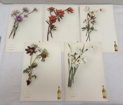 quatre types de fleurs différents présentés sur des cartes posées sur une table
