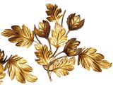a gold leaf decoration on a white background
