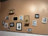 de nombreuses photos accrochées au mur au-dessus des toilettes dans la salle de bains