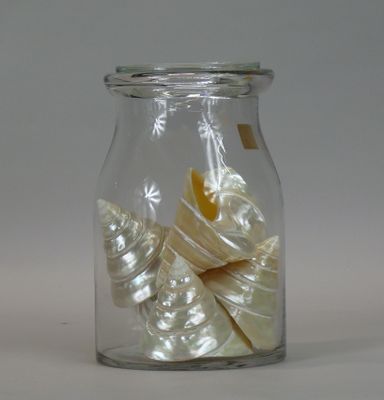 a glass jar with shells inside of it on a table