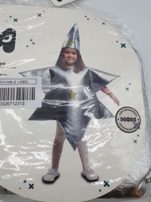 une photo d'un enfant portant un déguisement en papier d'aluminium