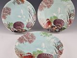 two plates with seashells and shells on them on a table