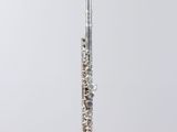 a silver flute on a clear stand against a white background