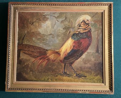 un tableau représentant un faisan, dans un cadre doré