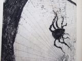 a drawing of a spider hanging on a tree