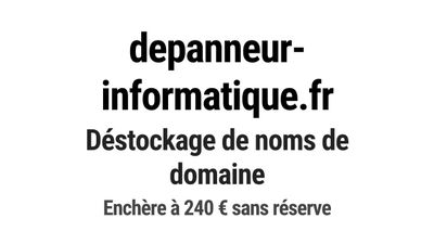 Nom de domaine depanneur-informatique.