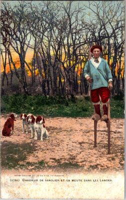 CPA : Landes (40) - Chasseur de sanglier sur échasses et sa …