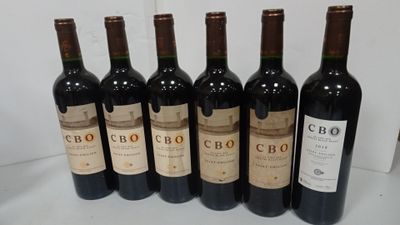 6 Bts CBO. Saint Emilion au lieu-dit Cheval Blanc.