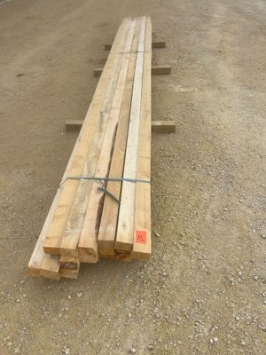 un long banc en bois posé à même le sol, dans la terre