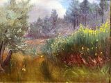 Photo 1/2 du lot