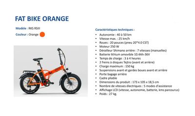 1 vélo électrique FAT BIKE - Modèle : RKS RSIII