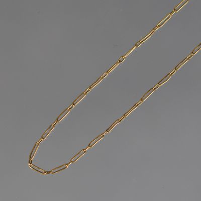 a gold plated necklace with a long chain and a clasp