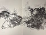 drawing of a bear and a bear cub in a book