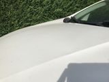 a white car that is parked in front of a hedge