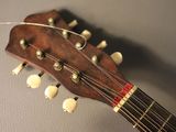 a close up of an acoustic guitar with strings