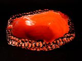 an orange stone with a black band around it