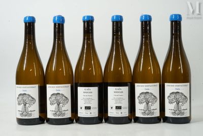 six bouteilles de vin posées les unes à côté des autres sur une table