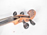 a close up of a violin on a white surface