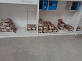 many boxes of food on the shelves in the room