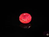 une image représentant une pomme rouge posée sur une surface noire