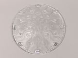 clear glass plate with a circular design on it on a white surface