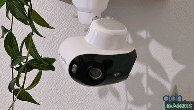 une photo d'un appareil photo accroché au mur à côté d'une plante