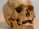 an old human skull sitting on a wooden table with a gray background