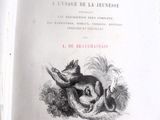 un vieux livre sur lequel figure l'image d'un chat