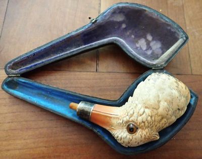 une tête de canard dans un étui bleu posé sur un plancher en bois