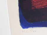 a picture of a red and blue painting hanging on a wall