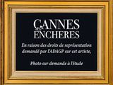 Photo 1/1 du lot