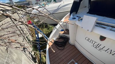 un bateau amarré au quai, près d'un arbre