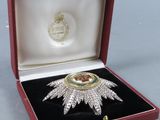 a close up of a box with a brooch in it