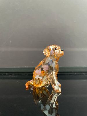 statue d'un chien assis sur une table en verre