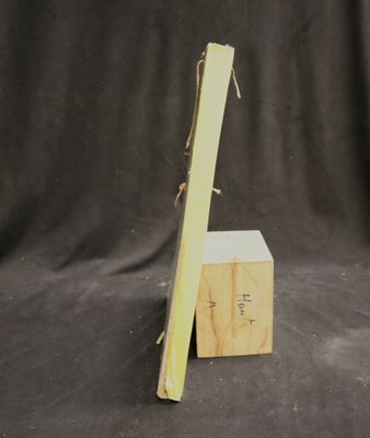 a close up of a piece of wood with a piece of wood sticking out of it