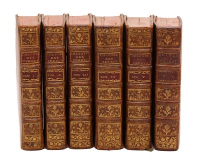 six vieux livres sont alignés sur une surface blanche