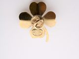 a gold flower brooch on a white surface